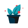 Potted plant